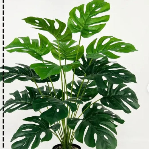 Simulation Green Plant